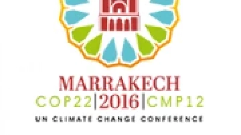COP22: l’Afrique en première ligne